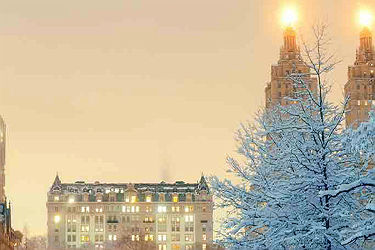 Central park en hiver