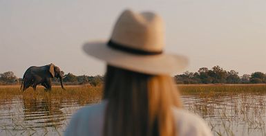 Éléphant dans l'Okavango - Sanctuary Retreats