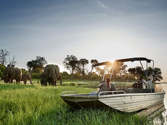 Safari en bateau depuis le Sanctuary Chobe Chilwero