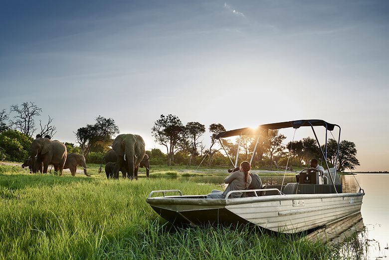 Safari en bateau depuis le Sanctuary Chobe Chilwero