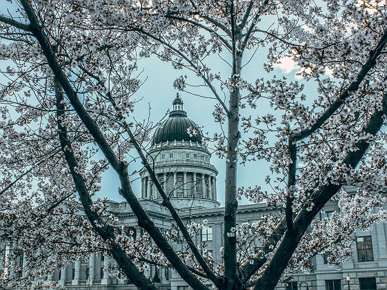 Capitole de l'Utah, Salt Lake City