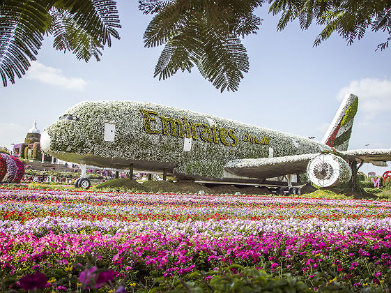 Miracle Garden de Dubai