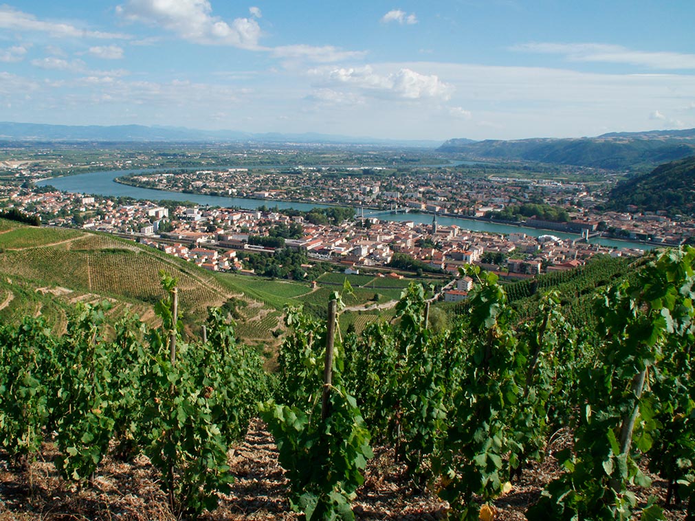 croisiere_amplitudes_balade_oenologique_rhone