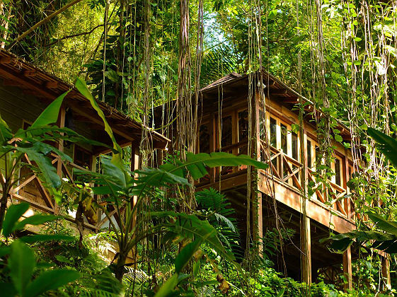 Kanopi House - Eco Lodge