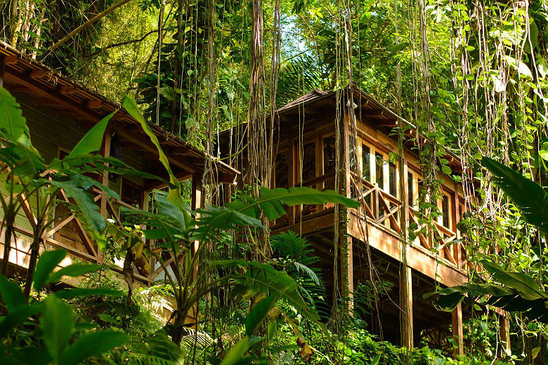 Kanopi House - Eco Lodge