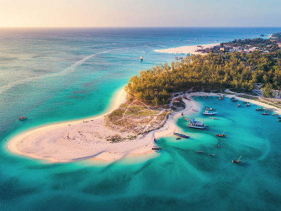 Plage de Zanzibar - Tanzanie