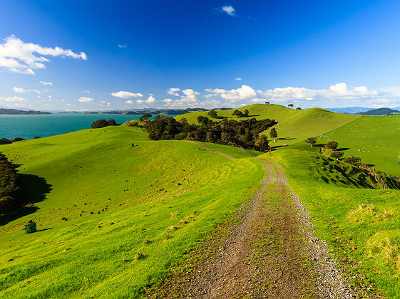 Nouvelle Zélande - Sentier au parc régional Duder, Auckland