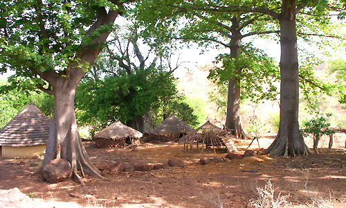 voyage_afrique_senegal_delta_saloum_toubakouta