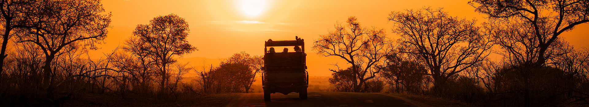 Afrique du Sud - Safari en 4x4