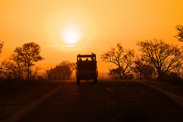 Afrique du Sud - Safari en 4x4