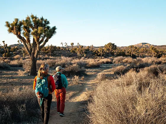 Randonnee dans le parc national de Joshua Tree, en Californie