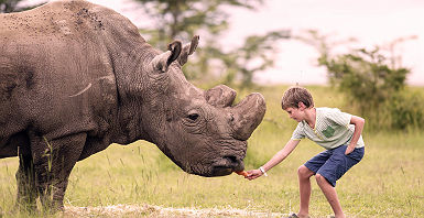 Ol Pejeta Bush Camp