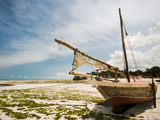 Bateau sur une plage à marée basse à Zanzibar