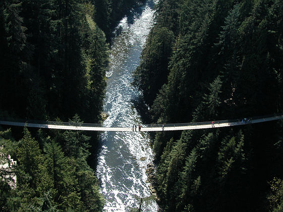 Capilano Suspension Bridge Park_Destination Vancouver