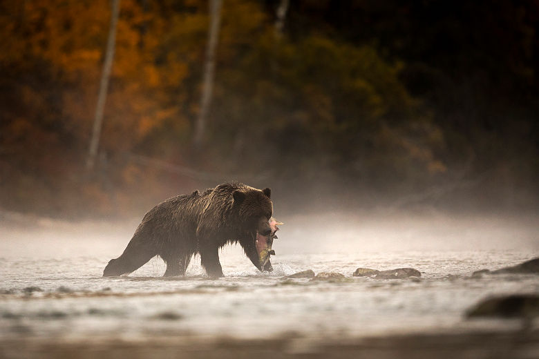 Telegraph Cove_Destination BC_Henrik Nilsson