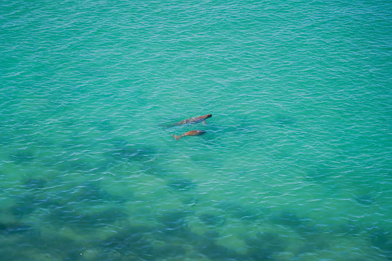 François Peron National Park  - Tourism Australia