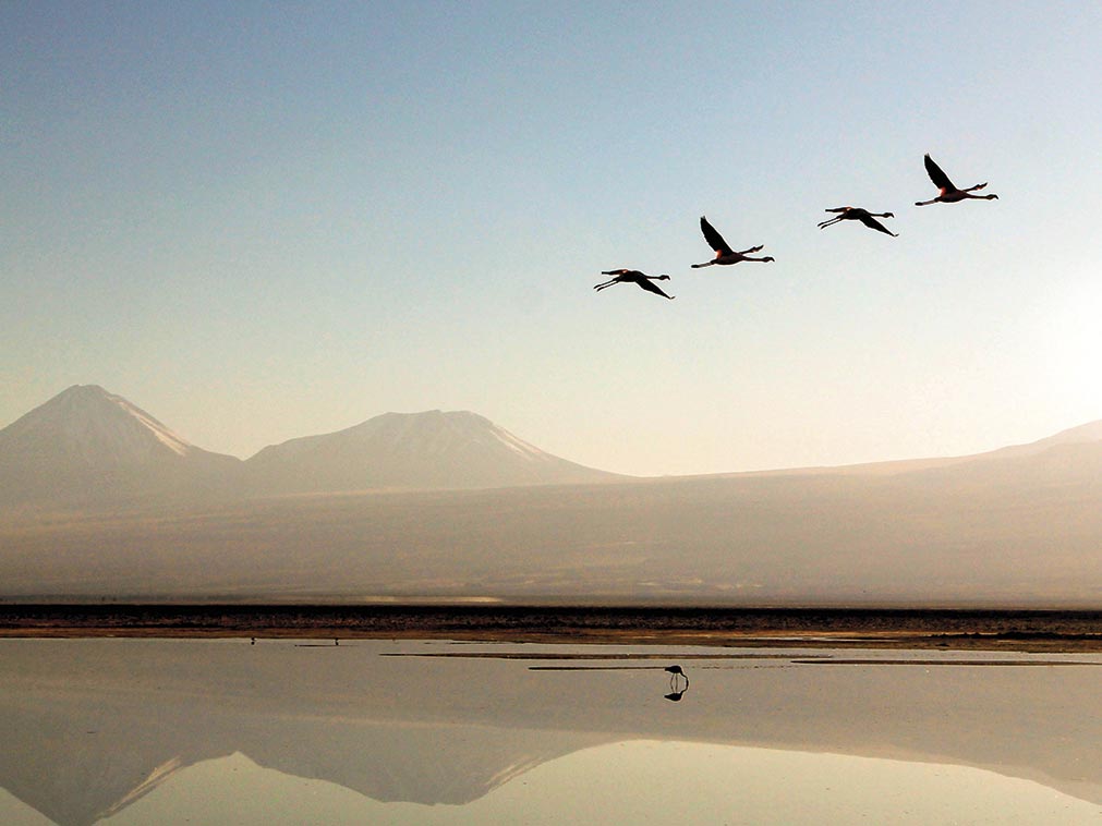 amplitudes_argentine_chili_perou_route_che_atacama