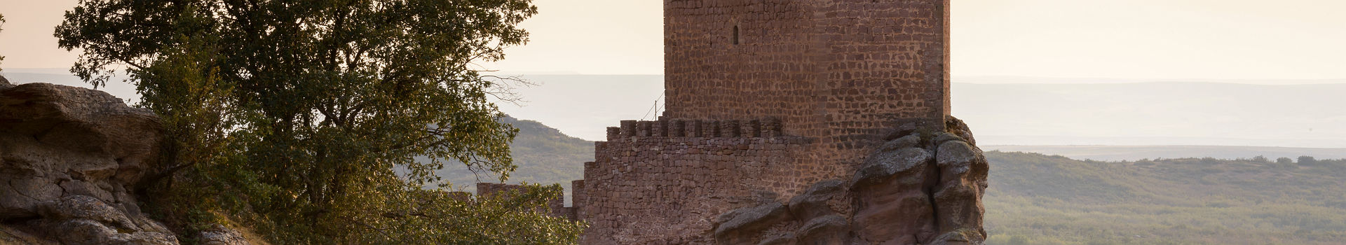 Chateau de Zafra. Guadalajara. Espagne