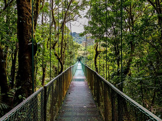 Pont suspendu au parc national du Volcan Arenal