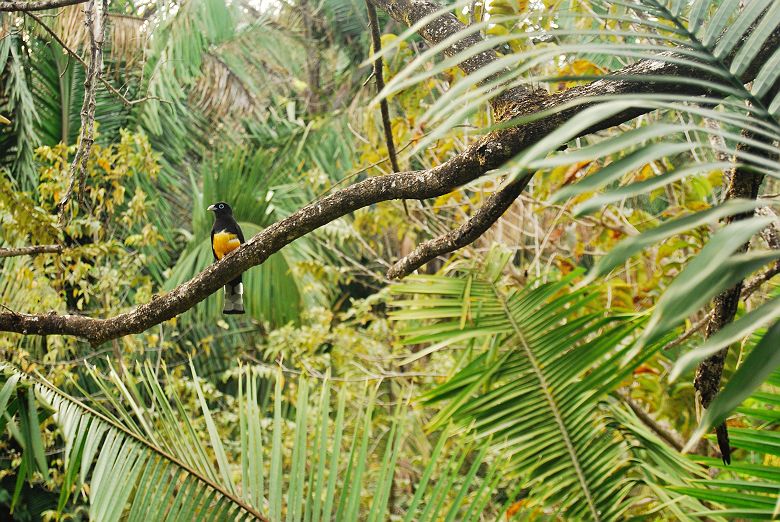 Nosara, Costa Rica