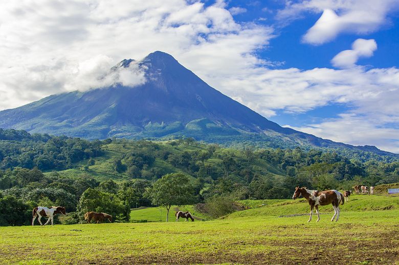 Chevaux devant le Volcan Arenal - Costa Rica