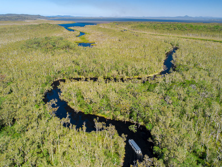 Noosa Everglades, Cooloola  - Tourism Australia