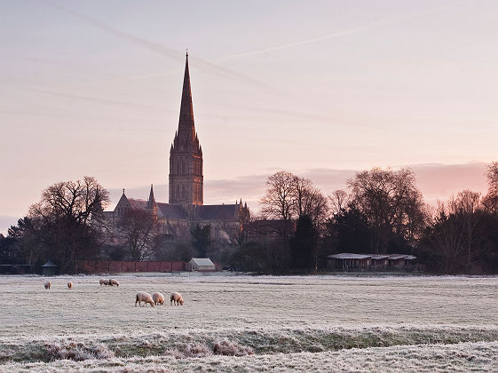 Cathédrale de Salisbury l'hiver - Angleterre, Royaume-Uni