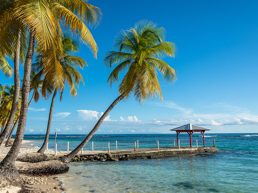 voyage_guadeloupe_circuit_amplitudes_caraibes