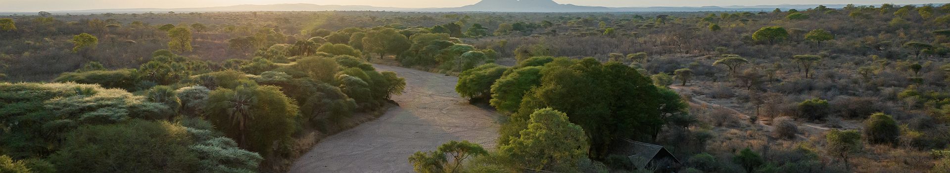 Jongomero_Aerial view