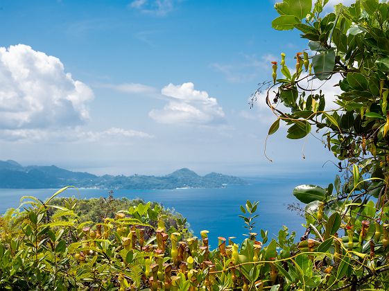 Morne Blanc_Michel Denousse_Tourism Seychelles