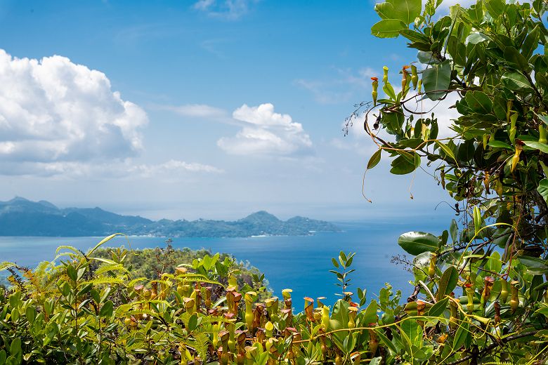 Morne Blanc_Michel Denousse_Tourism Seychelles