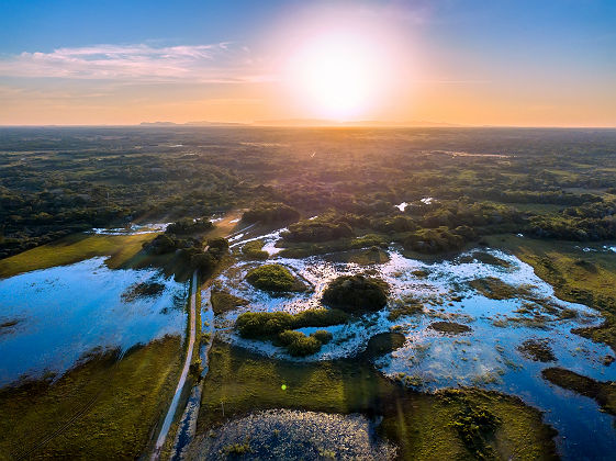 Vue aérienne du Pantanal - Brésil