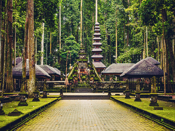 Bali - Forêt sacrée des singes à Ubud