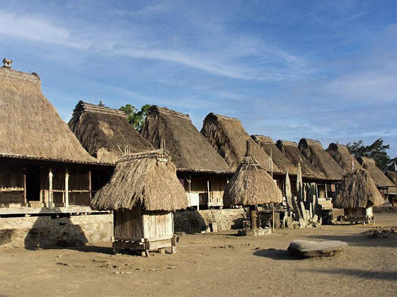 Village traditionnel de Bena a Flores, Indonesie