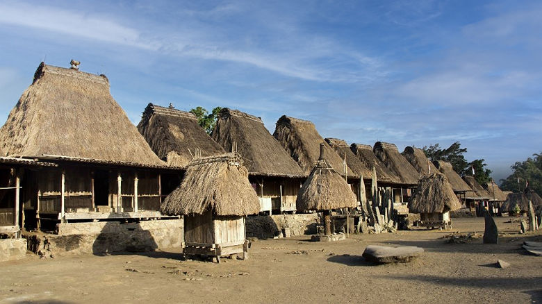 Village traditionnel de Bena a Flores, Indonesie