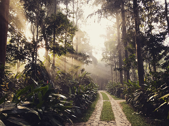 Pepper Trail - Driveway