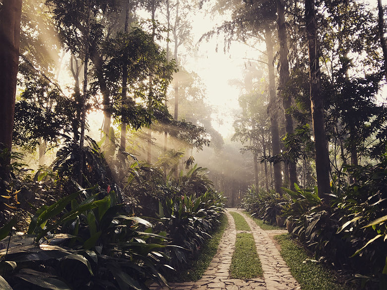 Pepper Trail - Driveway