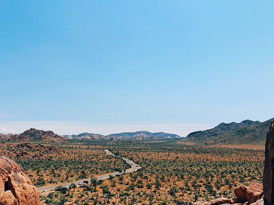 Route traversant le parc national Joshua Tree, Californie