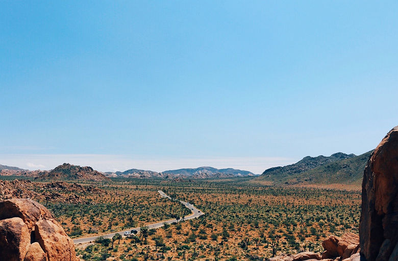 Route traversant le parc national Joshua Tree, Californie