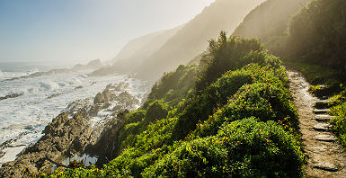 Afrique du Sud - Zone Tsitsikamma au parc national Garden Route