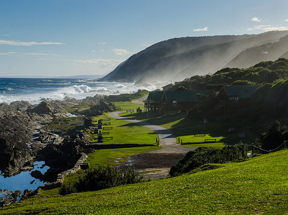 Afrique du Sud - Zone Tsitsikamma au parc national Garden Route