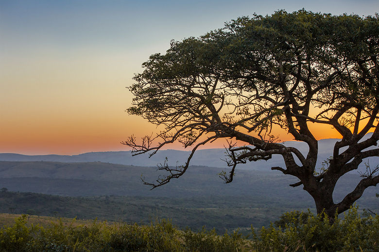 Afrique du Sud - Parc national de Hluhluwe-Imofolozi