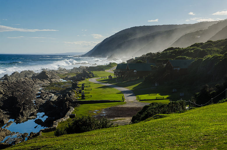 Afrique du Sud - Zone Tsitsikamma au parc national Garden Route