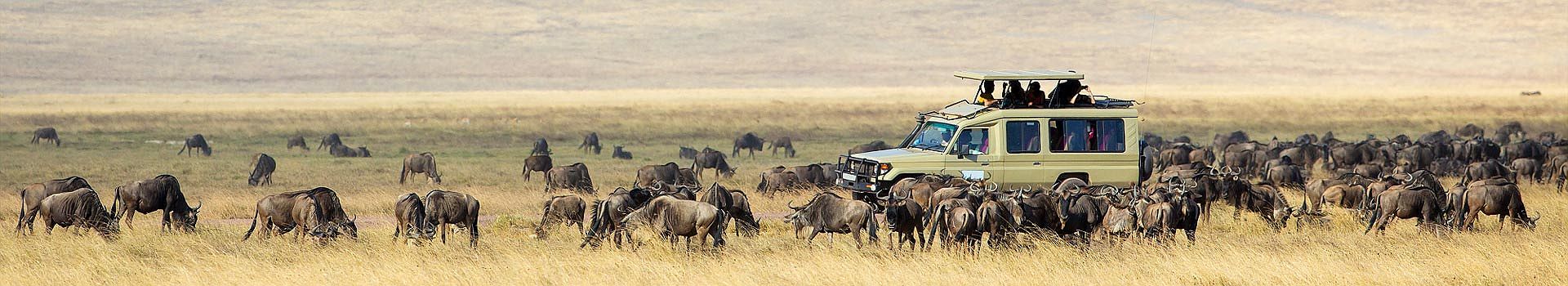 pano-edens-tanzaniens