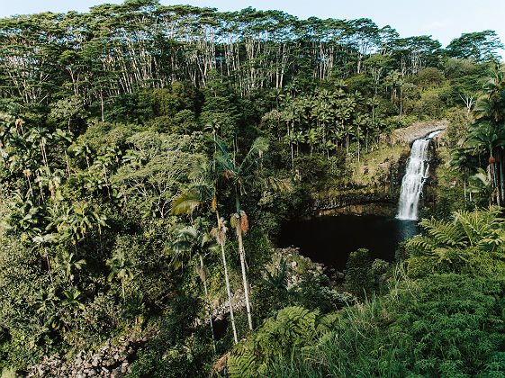 HTA / Heather Goodman  Cascade et forêt Hilo Big Island