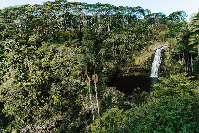 HTA / Heather Goodman  Cascade et forêt Hilo Big Island