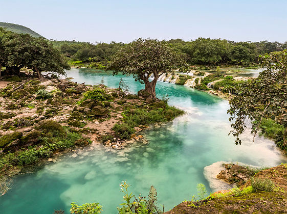 Salalah pendant la saison de khareef, Sultanat d’Oman