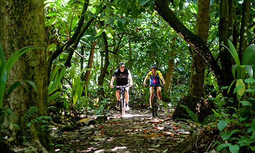 cycliste_sejour_sainte_lucie_hotel_anse_chastanet