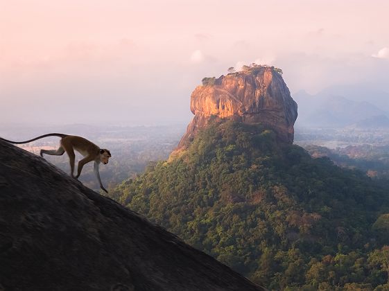 Signe sur le  Pidurangala Hill, Sri Lanka