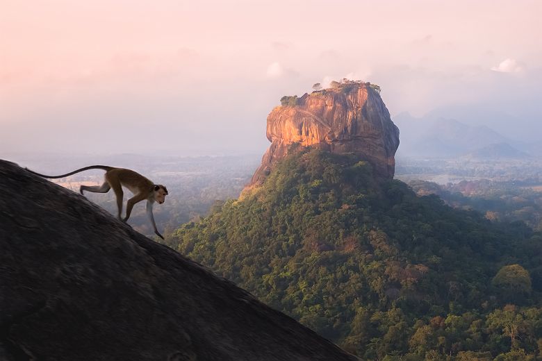 Signe sur le  Pidurangala Hill, Sri Lanka